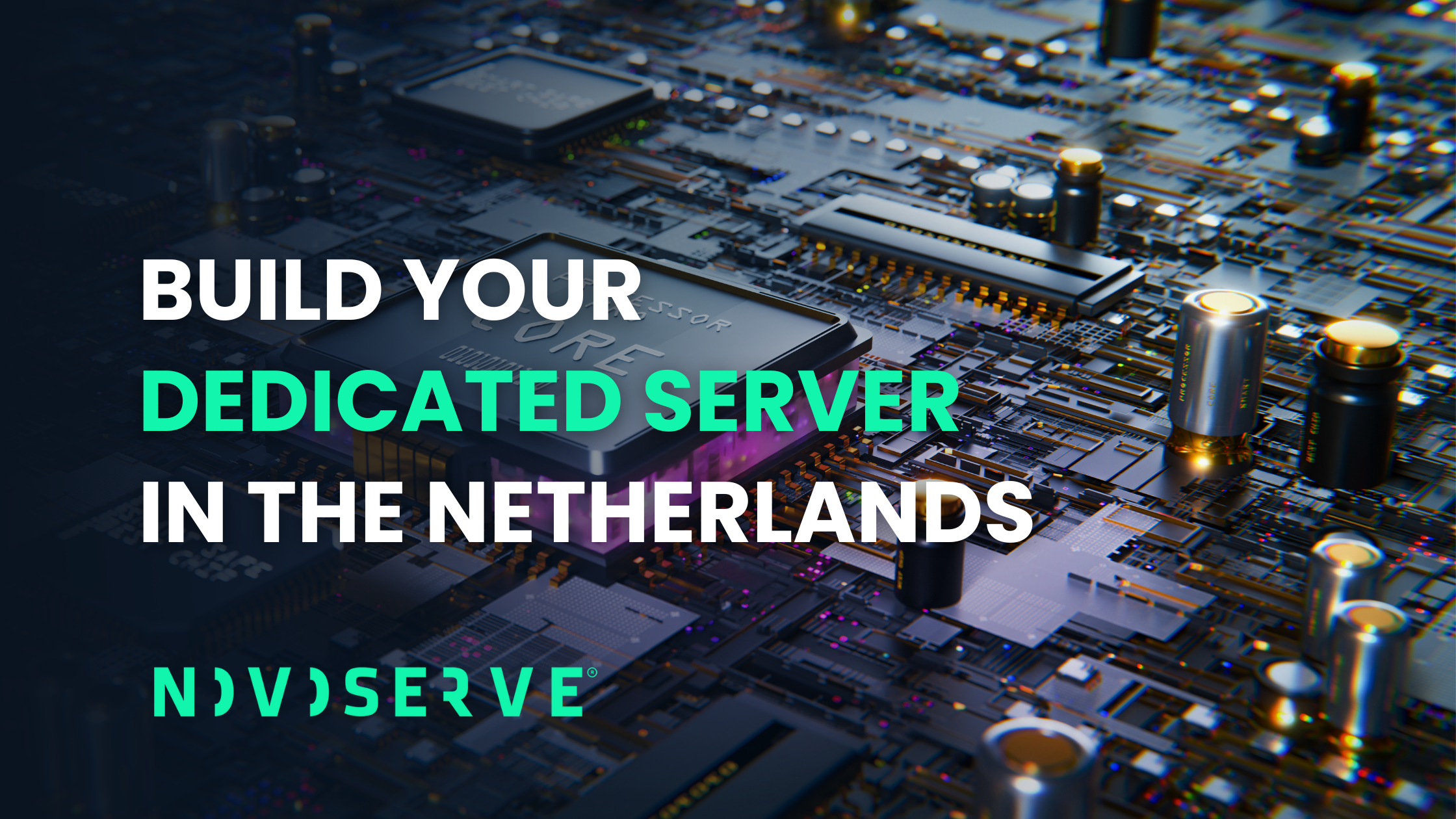 Build your dedicated server in the Netherlands