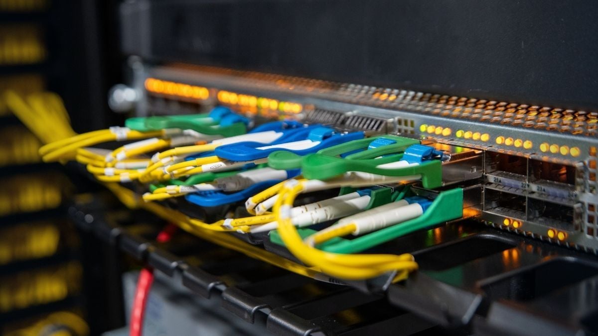 Dedicated server backside with network switches