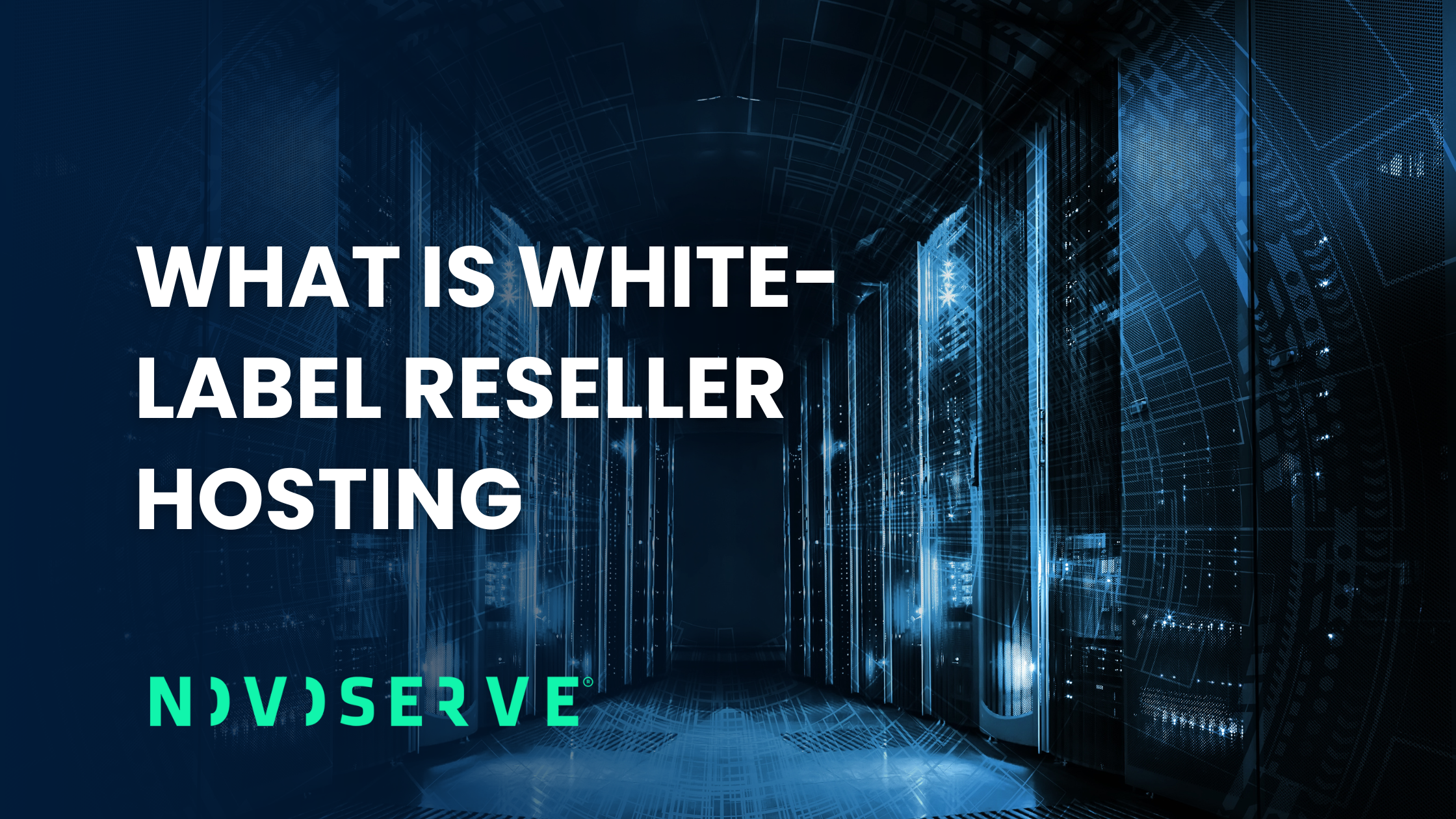 White-label reseller hosting banner